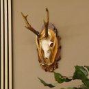 Rehgeweih original Abwurfstange Reh Geweih Gehörn Rehbock Trophäe auf Birkeschild 606.123