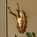 Rehgeweih original Abwurfstange Reh Geweih Gehörn Rehbock Trophäe auf Birkeschild 606.123