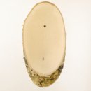 1 pièce Bouclier en bouleau Bouclier trophée Bois de cerf Tranche darbre Bouclier arbre AF 22 cm