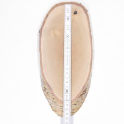 1 pièce Bouclier en bouleau Bouclier trophée Bois de cerf Tranche darbre Bouclier arbre AF 22 cm