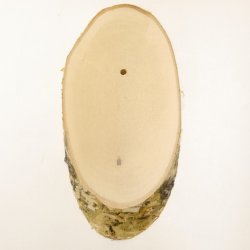 1 pièce Bouclier en bouleau Bouclier trophée Bois de cerf Tranche darbre Bouclier arbre AF 22 cm