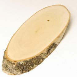 1 Stück Birke Schild Trophäenschild Reh Geweih Baumscheibe Baumschild AF 22 cm