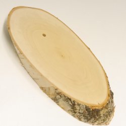 1 Stück Birke Schild Trophäenschild Reh Geweih Baumscheibe Baumschild AF 22 cm