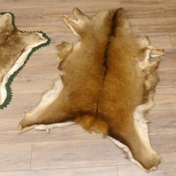 Hirschfell Mufflonfell Hirsch Mufflon Fell Fellreste für Bastler