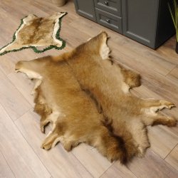 Hirschfell Mufflonfell Hirsch Mufflon Fell Fellreste für Bastler