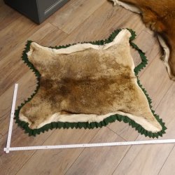 Hirschfell Mufflonfell Hirsch Mufflon Fell Fellreste für Bastler