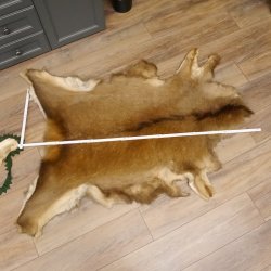 Hirschfell Mufflonfell Hirsch Mufflon Fell Fellreste für Bastler