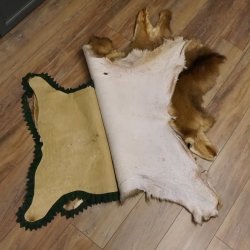 Hirschfell Mufflonfell Hirsch Mufflon Fell Fellreste für Bastler