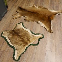 Hirschfell Mufflonfell Hirsch Mufflon Fell Fellreste für Bastler