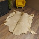 Oryxfell für Bastler Oryx (Oryx gazella) Fell Vorleger Antilope Afrika Länge 200cm