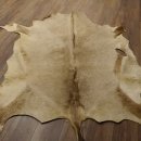 Oryxfell für Bastler Oryx (Oryx gazella) Fell Vorleger Antilope Afrika Länge 200cm