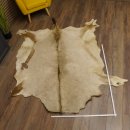 Oryxfell für Bastler Oryx (Oryx gazella) Fell Vorleger Antilope Afrika Länge 200cm