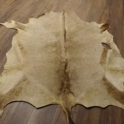 Oryxfell für Bastler Oryx (Oryx gazella) Fell Vorleger Antilope Afrika Länge 200cm
