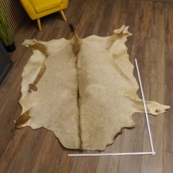 Oryxfell für Bastler Oryx (Oryx gazella) Fell Vorleger Antilope Afrika Länge 200cm