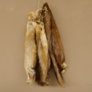 5 Stück Bisam Felle Fell im Bund 87.21.5