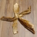 5 Stück Bisam Felle Fell im Bund 87.21.5