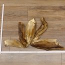 5 Stück Bisam Felle Fell im Bund 87.21.5