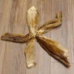 5 Stück Bisam Felle Fell im Bund 87.21.5