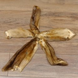 5 Stück Bisam Felle Fell im Bund 87.21.5