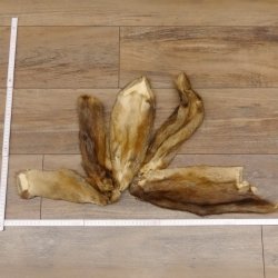 5 Stück Bisam Felle Fell im Bund 87.21.5