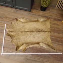 Gams Fell Tierfell Gamsfell Gemse Vorleger Dekoration Länge 88 cm 87.7.18