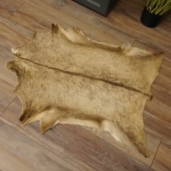 Gams Fell Tierfell Gamsfell Gemse Vorleger Dekoration Länge 88 cm 87.7.18