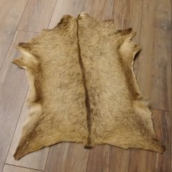 Gams Fell Tierfell Gamsfell Gemse Vorleger Dekoration Länge 88 cm 87.7.18