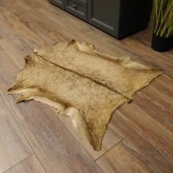 Gams Fell Tierfell Gamsfell Gemse Vorleger Dekoration Länge 88 cm 87.7.18