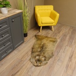 Wildschweinfell Fell Schwarzwild Schwarte Sauschwarte Vorleger Länge 111 cm 87.6.39