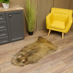 Wildschweinfell Fell Schwarzwild Schwarte Sauschwarte Vorleger Länge 111 cm 87.6.39