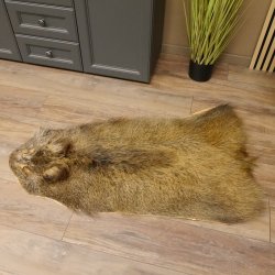 Wildschweinfell Fell Schwarzwild Schwarte Sauschwarte Vorleger Länge 111 cm 87.6.39