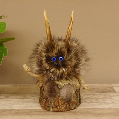 Wolpertinger Wolpi Mini Präparat taxidermy blaue Augen Höhe 23 cm 86.1.1.44