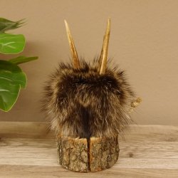 Wolpertinger Wolpi Mini Präparat taxidermy blaue Augen Höhe 23 cm 86.1.1.44