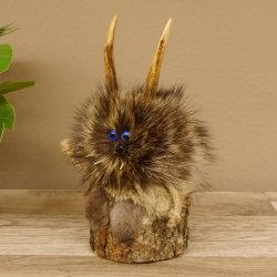 Wolpertinger Wolpi Mini Präparat taxidermy blaue Augen Höhe 23 cm 86.1.1.44