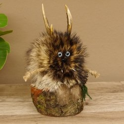 Wolpertinger Wolpi Präparat taxidermy Mini Tannenzapfen Zapfen hellblaue Augen Höhe 22 cm 86.1.2.51