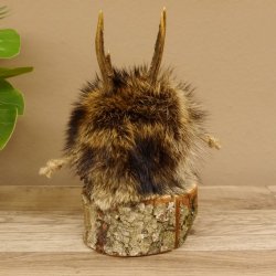 Wolpertinger Wolpi Präparat taxidermy Mini Tannenzapfen Zapfen hellblaue Augen Höhe 22 cm 86.1.2.51