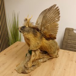 großer Wolpertinger Murmeltier Wolpi Mankei Präparat Rehgeweih Flügel 86.12.21