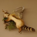 Wolpertinger Marder Wolpi Präparat Rehgeweih große Flügel Ast offener Fang Höhe 50 cm