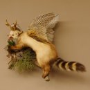 Wolpertinger Marder Wolpi Präparat Rehgeweih große Flügel Ast offener Fang Höhe 50 cm