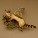 Wolpertinger Marder Wolpi Präparat Rehgeweih große Flügel Ast offener Fang Höhe 50 cm