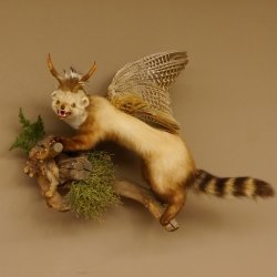 Wolpertinger Marder Wolpi Präparat Rehgeweih große Flügel Ast offener Fang Höhe 50 cm