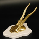 1 Stück Rehgeweih goldfarbiges Rehgehörn weißen Schild Geweih Reh bunt Deko Geschenk Idee 26.1.129