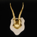 1 Stück Rehgeweih goldfarbiges Rehgehörn weißen Schild Geweih Reh bunt Deko Geschenk Idee 26.1.129