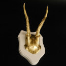 1 Stück Rehgeweih goldfarbiges Rehgehörn weißen Schild Geweih Reh bunt Deko Geschenk Idee 26.1.129