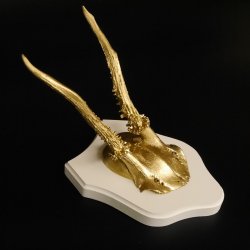 1 Stück Rehgeweih goldfarbiges Rehgehörn weißen Schild Geweih Reh bunt Deko Geschenk Idee 26.1.129