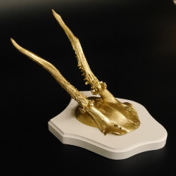 1 Stück Rehgeweih goldfarbiges Rehgehörn weißen Schild Geweih Reh bunt Deko Geschenk Idee 26.1.129