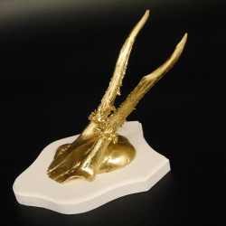 1 Stück Rehgeweih goldfarbiges Rehgehörn weißen Schild Geweih Reh bunt Deko Geschenk Idee 26.1.129