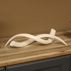 Kudu Innenhorn MINI 42cm poliert 1 Stück Afrika - verschiedene Variationen