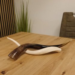 Kudu Innenhorn MINI 42cm poliert 1 Stück Afrika - verschiedene Variationen