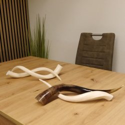 Kudu Innenhorn MINI 42cm poliert 1 Stück Afrika - verschiedene Variationen